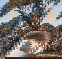 Coonawarra Bubble Tents - Australian Destinations