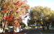 Karrinyup Waters Resort - thumb 2