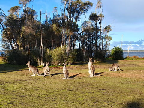 Waterfront Retreat At Wattle Point - Australian Destinations 2