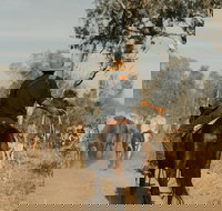 Bullo River Station - Australian Destinations