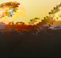 Clandulla Cottages  Farmstay - Australian Destinations