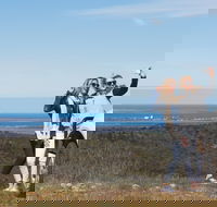 Cowell RV Park - Australian Destinations