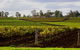 Estate Tuscany - thumb 0