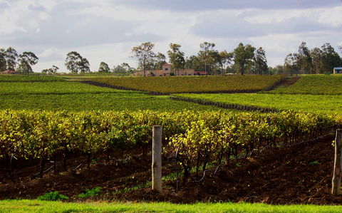 Estate Tuscany - Australian Destinations 0