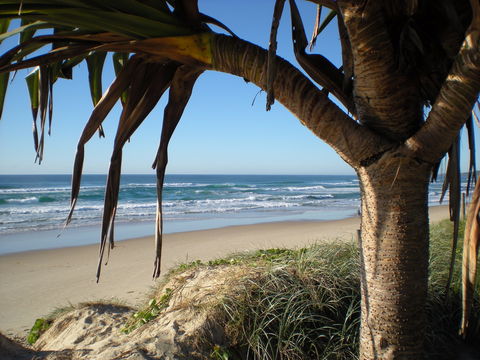 Horizons At Peregian - Australian Destinations 0
