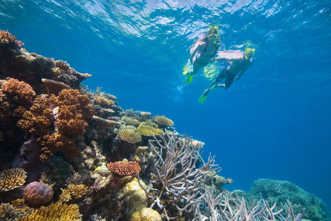 NRMA Cairns Holiday Park - Australian Destinations 0