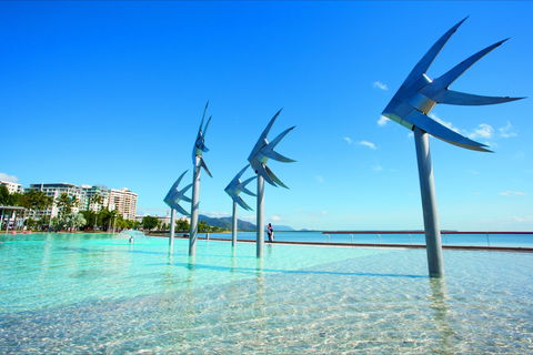 NRMA Cairns Holiday Park - Australian Destinations 1