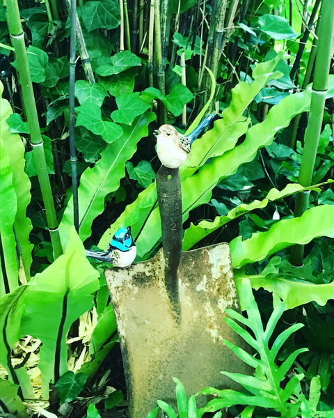 Aldgate Valley Bed And Breakfast - Australian Destinations 2