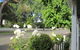 Arendon Cottage - thumb 1