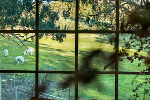 Australia Suite - Australian Destinations 1