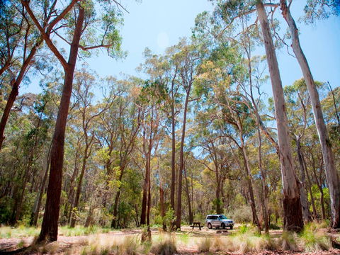 Coolah Tops National Park Camping - Australian Destinations 0