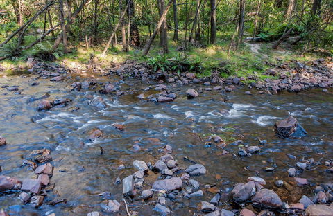Toorooroo Campground - Australian Destinations 0