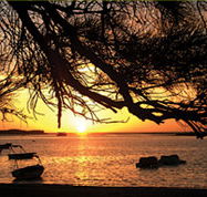 Pelican's Nest - Australian Destinations