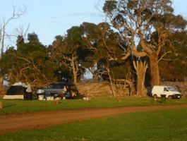 Ayr Sailean - Australian Destinations 5