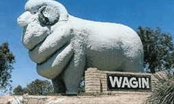 Wagin Motel - Australian Destinations 0