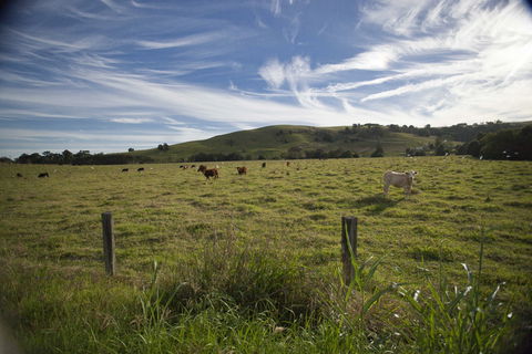 Annas Retreat - Australian Destinations 0