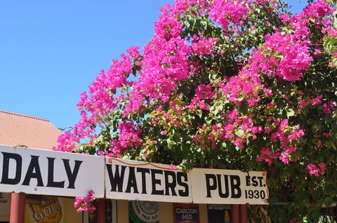 Daly Waters Historic Pub - Australian Destinations 0