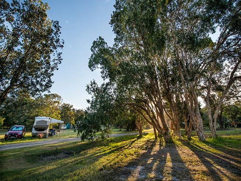 Delicate Campground - Australian Destinations 0