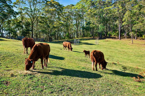 Gowan Ross Cottage - Australian Destinations 1