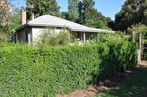 Honeysuckle Cottage - Australian Destinations 1