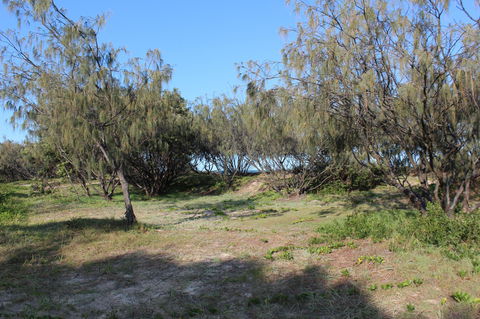 K'gari (Fraser Island) Camping, Great Sandy National Park - Australian Destinations 1