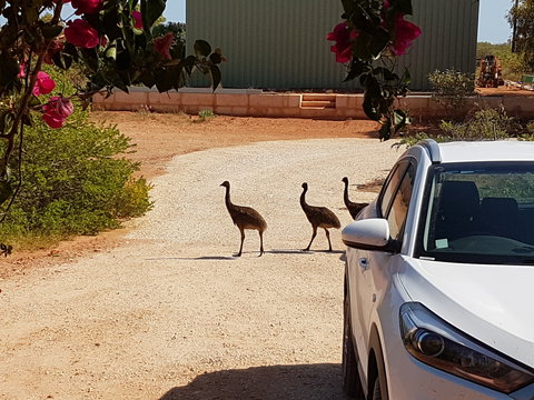Ningaloo Bed And Breakfast - Australian Destinations 1