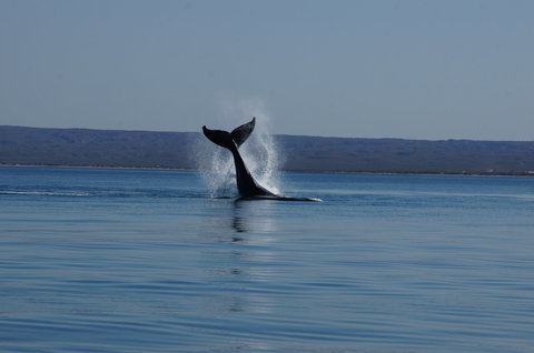 Ningaloo Bed And Breakfast - Australian Destinations 2