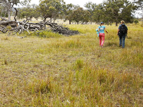 Sundown National Park Camping - Australian Destinations 2