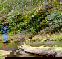 Bass Lodge - Australian Destinations