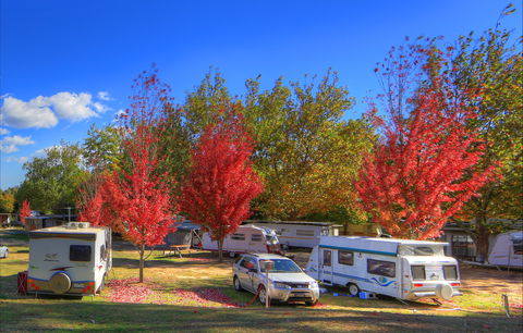 Beechworth Lake Sambell Caravan Park - Australian Destinations 0