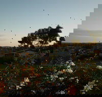 Belubula Cottage Canowindra - Australian Destinations