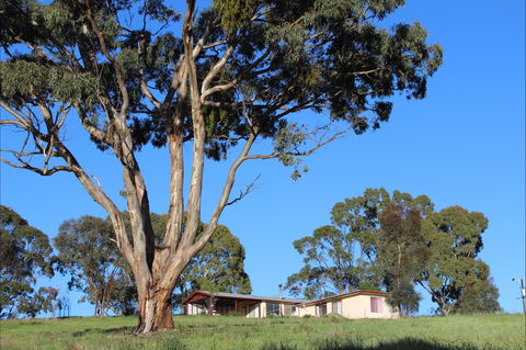 Clare View Accommodation - Clare View Cottage - Australian Destinations 2