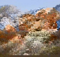 Credo Homestead Camp at Credo Conservation Park - Australian Destinations