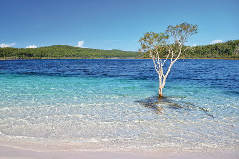 Fraser Island Fishing Units - Australian Destinations 0