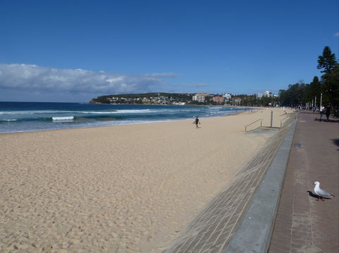 Manly Seaside Cottage - Australian Destinations 0