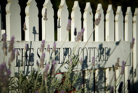 Mayfield Vineyard Cottages - Australian Destinations 0