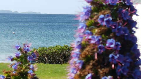 Rock Lobster - Australian Destinations 2