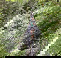 Rosebery Cabin and Tourist Park - Australian Destinations