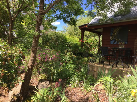Artscape Cottage Beechworth - Australian Destinations 2