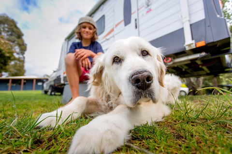 BIG4 St Helens Holiday Park - Australian Destinations 2