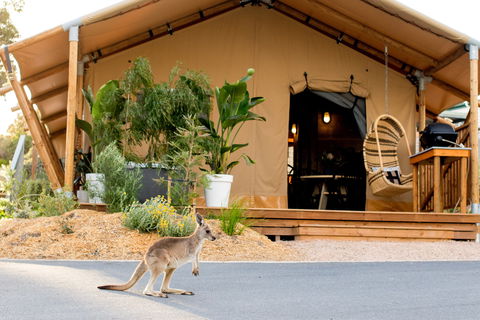 BIG4 Anglesea Holiday Park - Australian Destinations 2