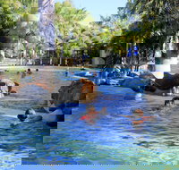 Big4 Aussie Outback Oasis Holiday Park - Australian Destinations