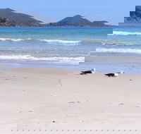 Eagles Rise Tasmania - Australian Destinations