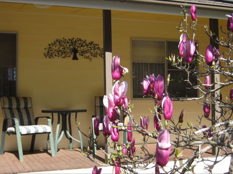 Figtree Cottage - Australian Destinations 1