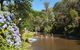 Jamieson Caravan Park - thumb 0