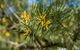 Mogo Campground - thumb 1