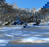 Mt Stirling Alpine Winter Camp - Australian Destinations