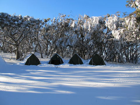Mt Stirling Alpine Winter Camp - Australian Destinations 1