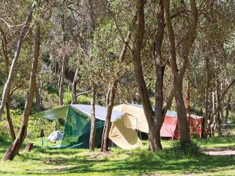 Pebbly Beach Campground - Yuraygir National Park - Australian Destinations 1