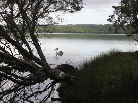 The Cove - Australian Destinations 0